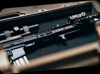 Gun bexar arms (illustration)